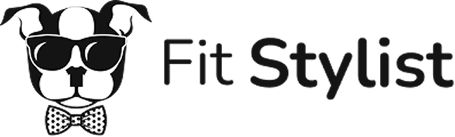 Fit Stylist logo